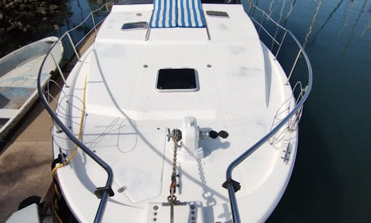 Lovely BayLiner Flybridge 38 Yacht in Puerto Vallarta