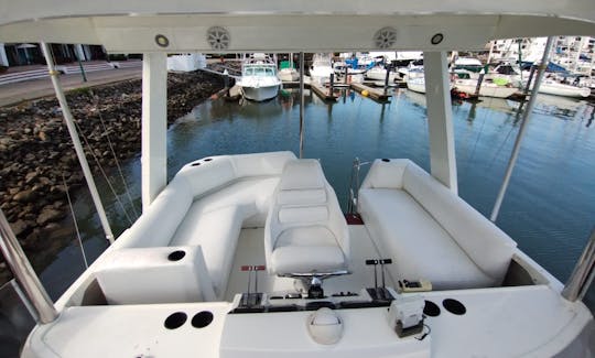 Lovely BayLiner Flybridge 38 Yacht in Puerto Vallarta