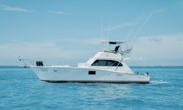 Odysea 46ft Sportfishing Boat for Charter in Cancun!