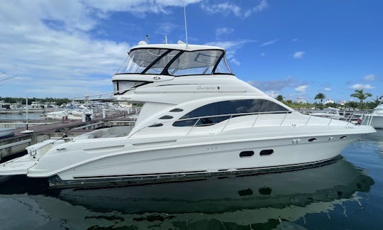 Rent 58' Sea Ray Yacht Sedan Bridge. Visit El Cielo Cozumel. All Inclusive