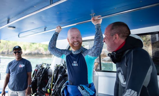 Scuba Diving with Manta Rays in Bali. Starting price for the boat charter.