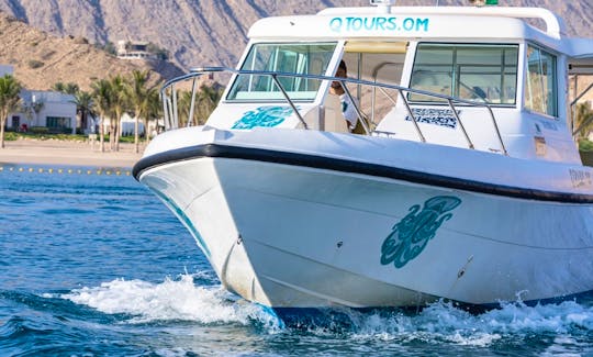 Dolphin Watching Tours in Muscat, Oman