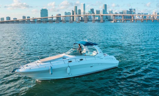 ✅Beautiful Sea Ray 37 Motor Yacht for 13 Passengers in Miami, Florida  ✅