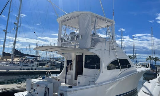 Fully Equipped 42ft Fishing Yacht in Nuevo Vallarta