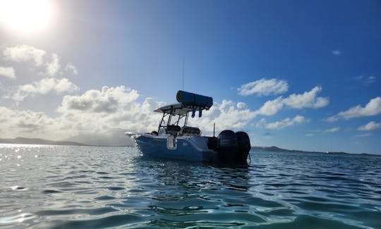 PALOMINOS ISLAND ICACOS KEY PRIVATE TOUR ON MOANA I