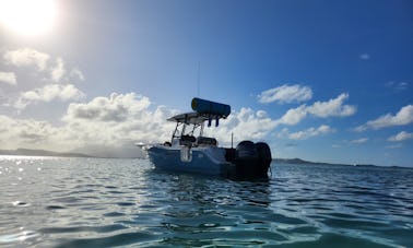 Visites privées tout compris de l'île Sea Fox de 26 pieds entièrement chargées