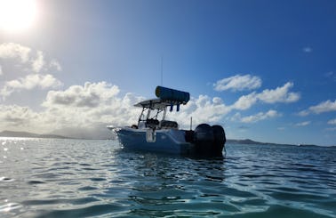 26ft Sea Fox Fully Loaded Puerto Rico Keys Private All-inclusive Island Tours