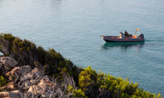 Joker Boat Clubman 22 con motor 225 Mercury en alquiler en Sukošan