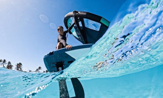 Learn Wingfoiling in Saint-Martin!