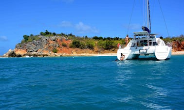 Charter privado para observação de baleias na Lagoon 38 em Saint-Martin