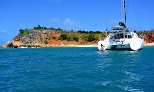 Charter privé d'observation des baleines au Lagoon 38 à Saint-Martin