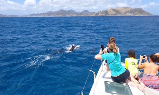 Charter privé d'observation des baleines au Lagoon 38 à Saint-Martin