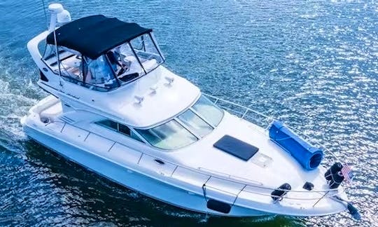 Enjoy Miami In 47' Searay Fly Motor Yacht!!!