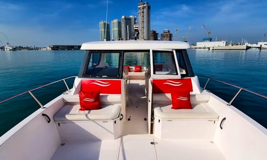 36ft Silver Craft Speed Boat for 1 Hour  - Dubai Marina