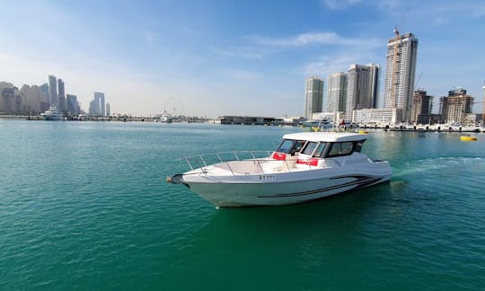 Bateau à moteur Silver Craft de 40 pieds pendant 1 heure - Marina de Dubaï