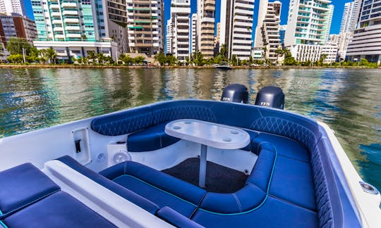 Boat rent Bravo 29ft - 10pax Cholon - Rosario Island Cartagena