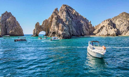 32ft Maxum 3200 Yacht to The Arch of Los Cabos