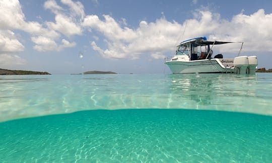 ILHAS PICACOS E PALOMINO. BARCO BRANCO GRADY DE 30 PÉS