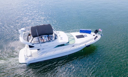 Iate a motor Sea Ray Flybridge 44 em Miami