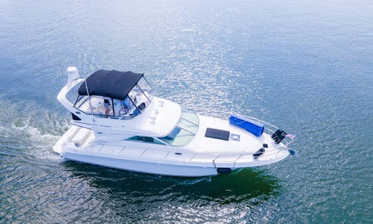 Yate a motor Sea Ray Flybridge 44 en Miami