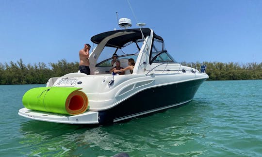 💥 Meilleure location de bateau Sea Ray de 38 pieds à Miami pour un maximum de 10 personnes