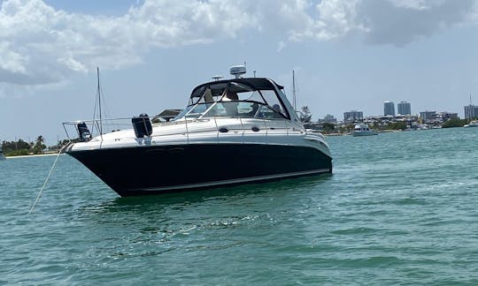 💥 Sea Ray: o melhor aluguel de barco de 38 pés em Miami para até 10 pessoas