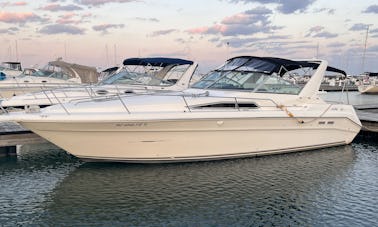 Sea Ray 330 Boat Rental Chicago 12 people