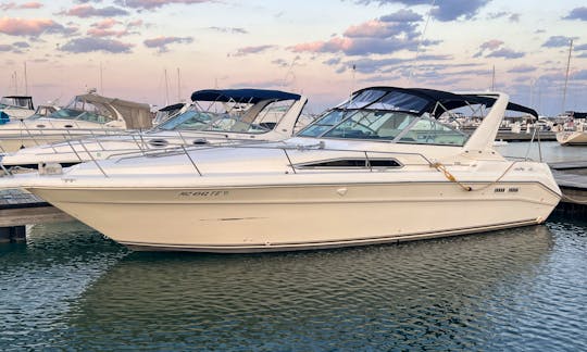 Sea Ray 330 Boat Rental Chicago 12 people