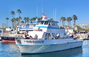 Private Whale Watch/Nature Cruise for up to 70 people