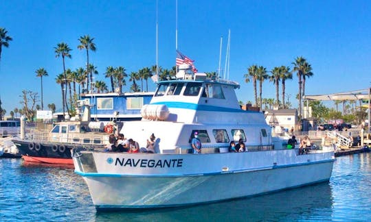 Private Whale Watch/Nature Cruise for up to 70 people