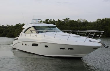 50' 2012 Sea Ray Sundancer sport yacht