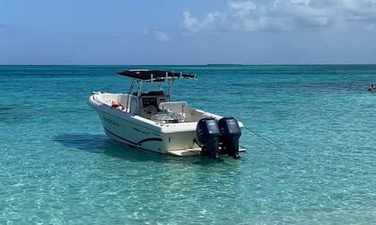 ¡Excursión de medio día a Nassau, Nueva Providencia, a bordo de Center Console Boat!