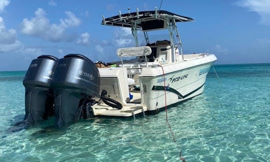 ¡Excursión de medio día a Nassau, Nueva Providencia, a bordo de Center Console Boat!