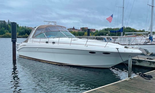 46' Sea Ray Sea Ray Express Cruiser Motor Yacht in Chicago, Illinois - Perfect for Parties