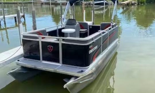 Eco Armada 167 Pontoon Boat for rent in Belle River, Ontario -  CANADA ONLY!