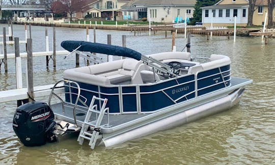 Godfrey Sweetwater Pontoon 1880CX for rent in Belle River, Ontario  CANADA ONLY!