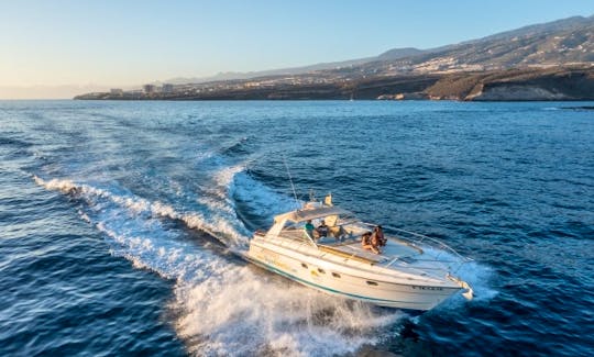 3-hour Tour on a 42 ft Motor Yacht  in Santa Cruz de Tenerife, Spain
