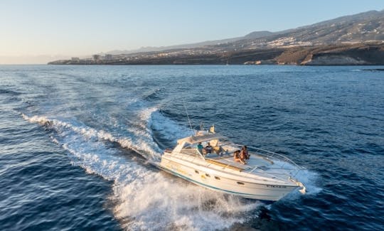 3-hour Tour on a 42 ft Motor Yacht  in Santa Cruz de Tenerife, Spain