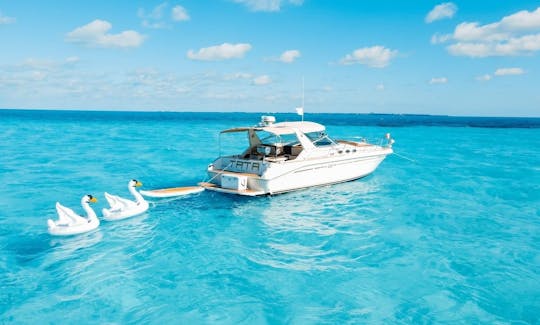 Classy and elegant 43ft Motor Yacht in Cancún, Quintana Roo