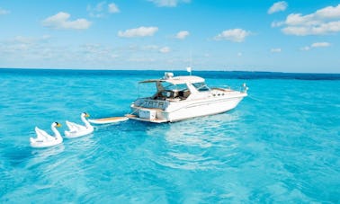 Classy and elegant 43ft Motor Yacht in Cancún, Quintana Roo