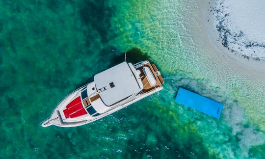 ✅50 Sea Ray Boat & Yacht Rentals in Miami, Florida✅⭐️⭐️⭐️⭐️⭐️