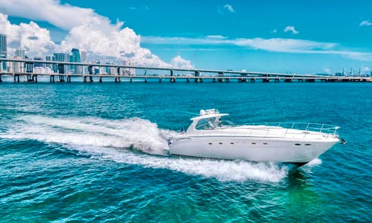 💥🥇55 Sea Ray Boat & Yacht Rentals in Miami, Florida ⭐️⭐️⭐️⭐️⭐️