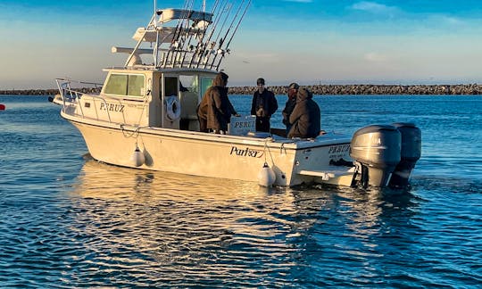 Parker Boat for rent in San Diego / Oceanside