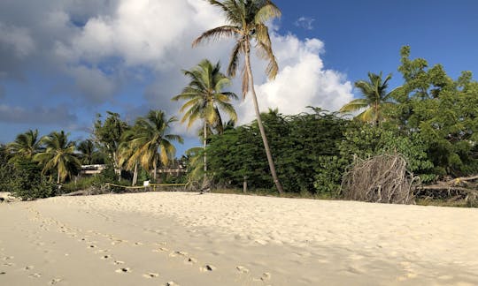 Sailing catamaran in USVI