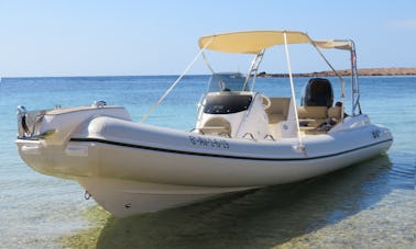 Blackfin Elegance 8 (12 personas)