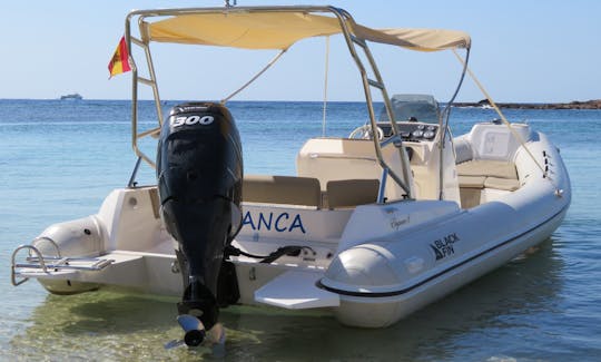 Blackfin Elegance 8 (12 pessoas)
