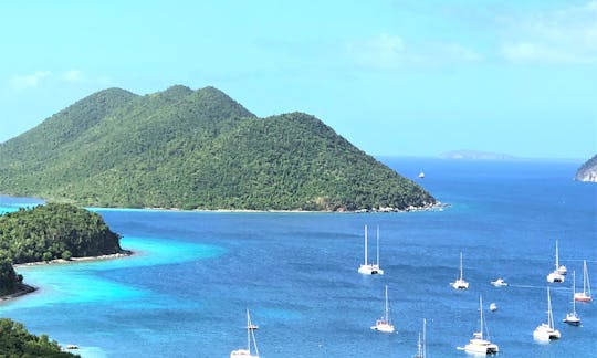 Sailing catamaran in USVI