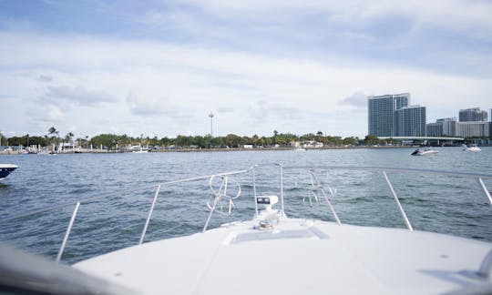 Cruise Miami in Style with Wellcraft 290 Coast