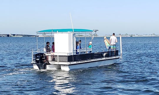 Explorez les eaux d'Anclote Key, de la plage et du phare ! Capitaine inclus !