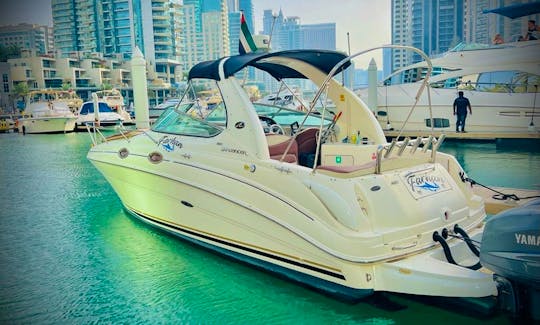 Paramount 28ft Motor Yacht Rental in Dubai, United Arab Emirates